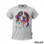 Bernese Mountain Dog Colorful Art - Životinje - Majica