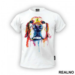 Golden Retriever Colorful Art - Životinje - Majica