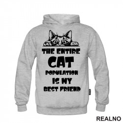 The Entire Cat Population Is My Best Friend - Peaking - Mačke - Cat - Duks