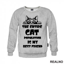 The Entire Cat Population Is My Best Friend - Peaking - Mačke - Cat - Duks