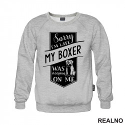 Sorry I'm Late My Boxer Was Sleeping On Me - Pas - Dog - Duks