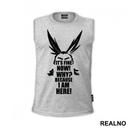 It's Fine Now! Why? Because I AM Here - My Hero Academia - Majica
