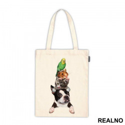 Dog, Cat, Mouse And a Parret - Životinje - Ceger