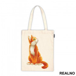 Orange Cat Looking Up - Životinje - Ceger