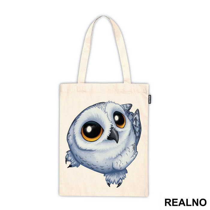 Small Owl With Big Eyes - Životinje - Ceger