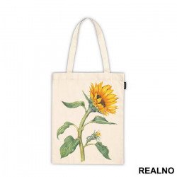 Sunflower - Drawing - Art - Ceger
