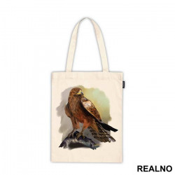 Hawk On A Branch - Životinje - Ceger