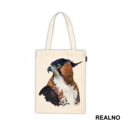 Hawk Portrait - Životinje - Ceger