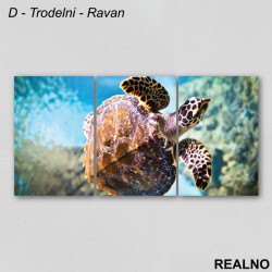 Kornjača u moru - Slika na platnu - Kanvas