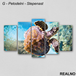 Kornjača u moru - Slika na platnu - Kanvas