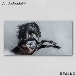 Crni Konj - Slika na platnu - Kanvas