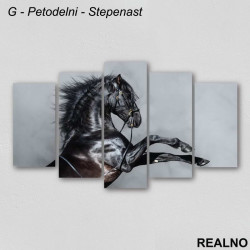 Crni Konj - Slika na platnu - Kanvas