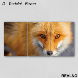 Lisica - Slika na platnu - Kanvas Lisica - Slika na platnu - Kanvas