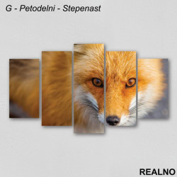 Lisica - Slika na platnu - Kanvas Lisica - Slika na platnu - Kanvas