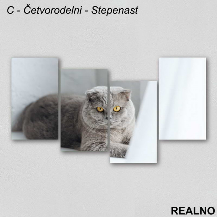 Siva Mačka - Slika na platnu - Kanvas