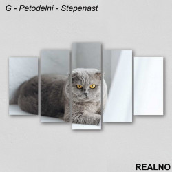 Siva Mačka - Slika na platnu - Kanvas Siva Mačka - Slika na platnu - Kanvas