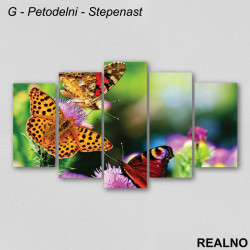 Leptiri na cvetu - Slika na platnu - Kanvas Leptiri na cvetu - Slika na platnu - Kanvas