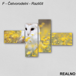 Sova u žutom cveću - Slika na platnu - Kanvas Sova u žutom cveću - Slika na platnu - Kanvas