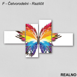 Šareni leptir na beloj pozadini - Slika na platnu - Kanvas Šareni leptir na beloj pozadini - Slika na platnu - Kanvas