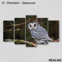 Sova na drvetu - Slika na platnu - Kanvas Sova na drvetu - Slika na platnu - Kanvas