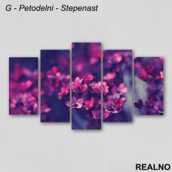 Ljubičasto - rozo cveće sa zamućenom pozadinom - Slika na platnu - Kanvas Ljubičasto - rozo cveće sa zamućenom pozadinom - Slika na platnu - Kanvas