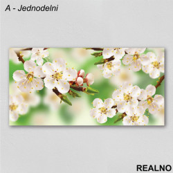 Belo cveće - Slika na platnu - Kanvas