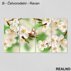 Belo cveće - Slika na platnu - Kanvas