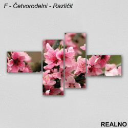 Rozo cveće - Slika na platnu - Kanvas Rozo cveće - Slika na platnu - Kanvas