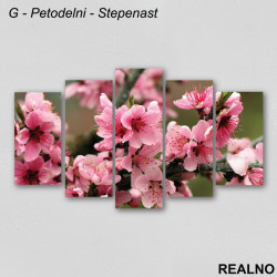 Rozo cveće - Slika na platnu - Kanvas Rozo cveće - Slika na platnu - Kanvas