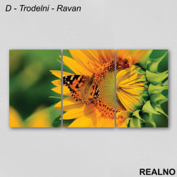 Šareni leptir na cvetu suncokreta - Slika na platnu - Kanvas Šareni leptir na cvetu suncokreta - Slika na platnu - Kanvas