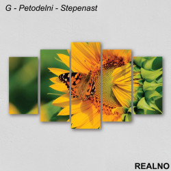 Šareni leptir na cvetu suncokreta - Slika na platnu - Kanvas Šareni leptir na cvetu suncokreta - Slika na platnu - Kanvas