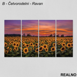 Polje suncokreta - Slika na platnu - Kanvas Polje suncokreta - Slika na platnu - Kanvas