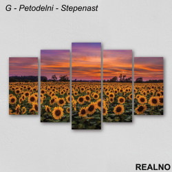 Polje suncokreta - Slika na platnu - Kanvas Polje suncokreta - Slika na platnu - Kanvas