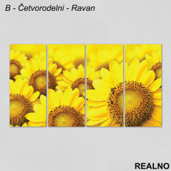 Cvet Suncokreta - Slika na platnu - Kanvas