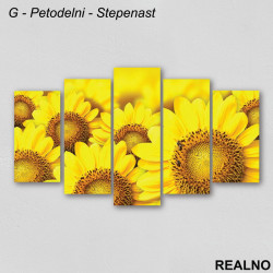 Cvet Suncokreta - Slika na platnu - Kanvas