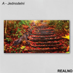 Stepenice prekrivene lišćem - Jesen - Slika na platnu - Kanvas