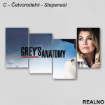 Meredith Grey - Grey's Anatomy - Slika na platnu - Kanvas