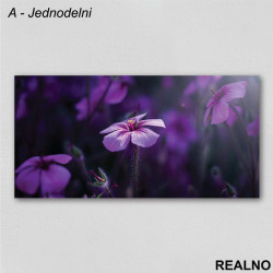 Ljubičasto Cveće - Slika na platnu - Kanvas Ljubičasto Cveće - Slika na platnu - Kanvas