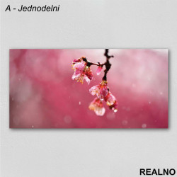 Cvet Na Kiši - Slika na platnu - Kanvas