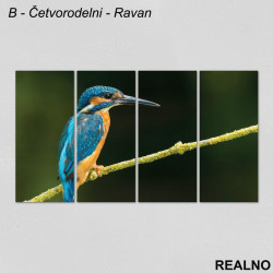 Plava ptica - Slika na platnu - Kanvas Plava ptica - Slika na platnu - Kanvas