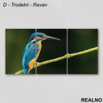 Plava ptica - Slika na platnu - Kanvas