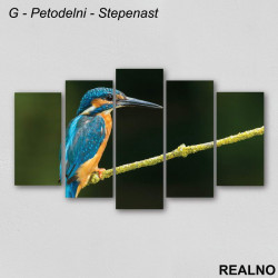 Plava ptica - Slika na platnu - Kanvas Plava ptica - Slika na platnu - Kanvas