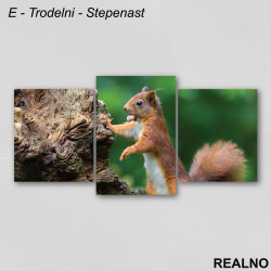 Veverica sa lešnikom - Slika na platnu - Kanvas Veverica sa lešnikom - Slika na platnu - Kanvas