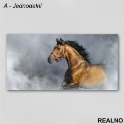 Konj - Slika na platnu - Kanvas