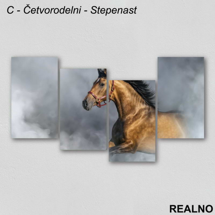 Konj - Slika na platnu - Kanvas