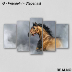 Konj - Slika na platnu - Kanvas