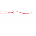 The Vampire Diaries