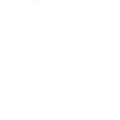 Konji