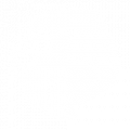 Lav