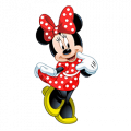 Mini Maus